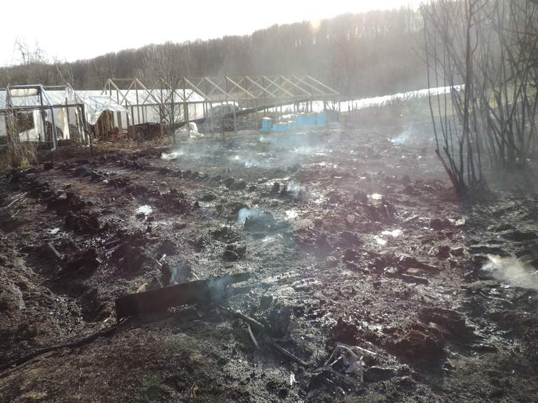 В хуторе Кубанском из-за бесконтрольного горения сухой травы уничтожено около 400 ульев