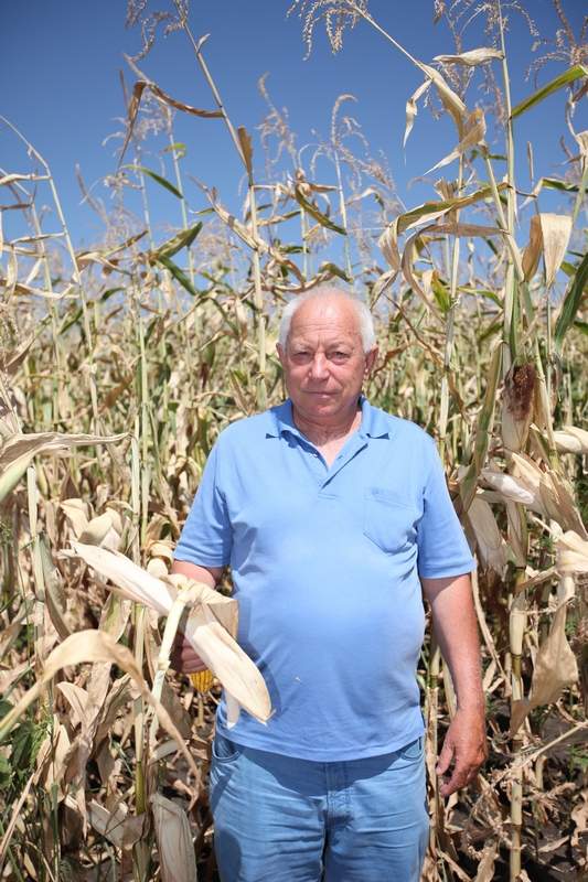 Владимир Лебеденко, заслуженный работник сельского хозяйства Кубани и России: «Моя цель – работать на земле, плодотворно заниматься делом»