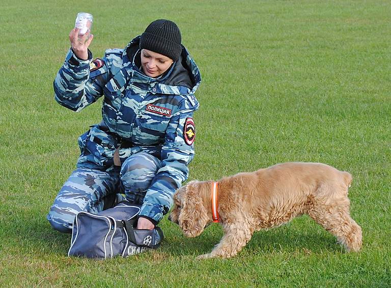 На кону – Кубок главы района по футболу