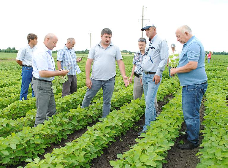 В Белореченском районе прошёл смотр культуры земледелия