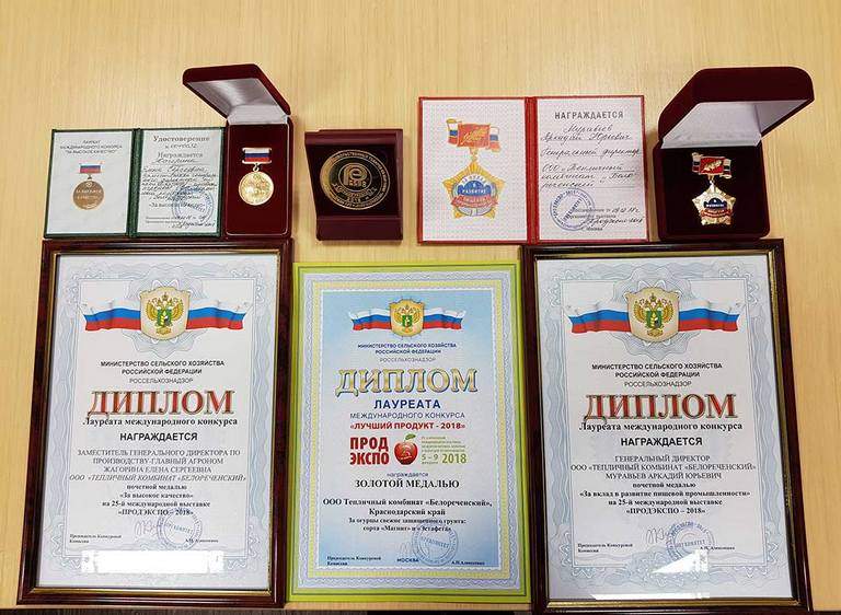Высокие награды получили белореченские овощеводы 