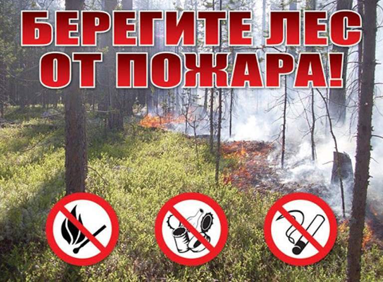 На территории края введен пожароопасный сезон на землях лесного фонда