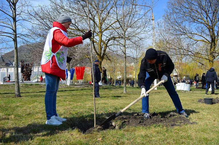 Десятки тысяч деревьев в рамках акции «Сад памяти»