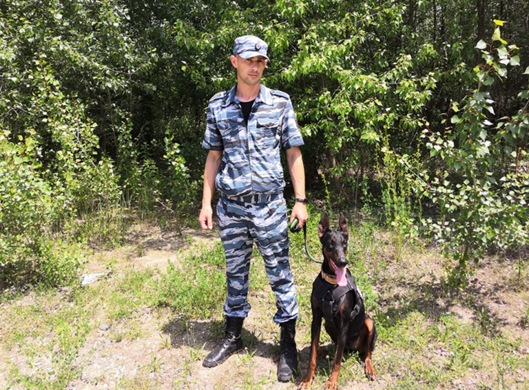 Белореченские полицейские раскрыли кражу при помощи служебной собаки