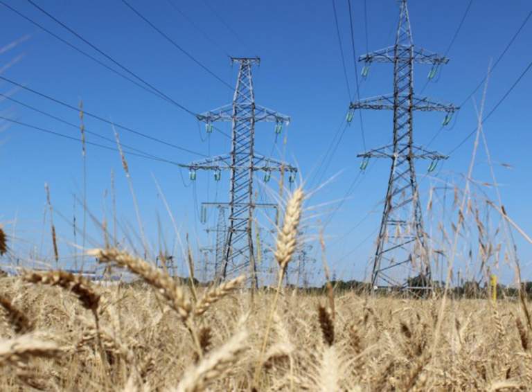 «Россети Кубань» повысила надежность энергоснабжения крупного агропромышленного района