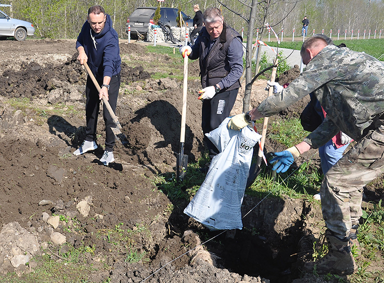 Эстафету по высадке деревьев в рамках международной акции «Сад памяти» подхватили белореченские депутаты