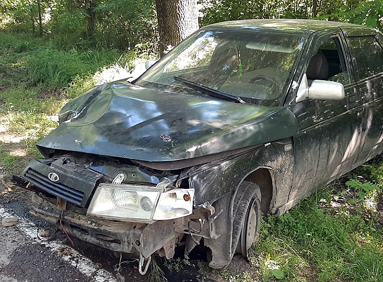 На автодороге между селами Белореченского района «Лада» объехала собаку, но столкнулась с деревом