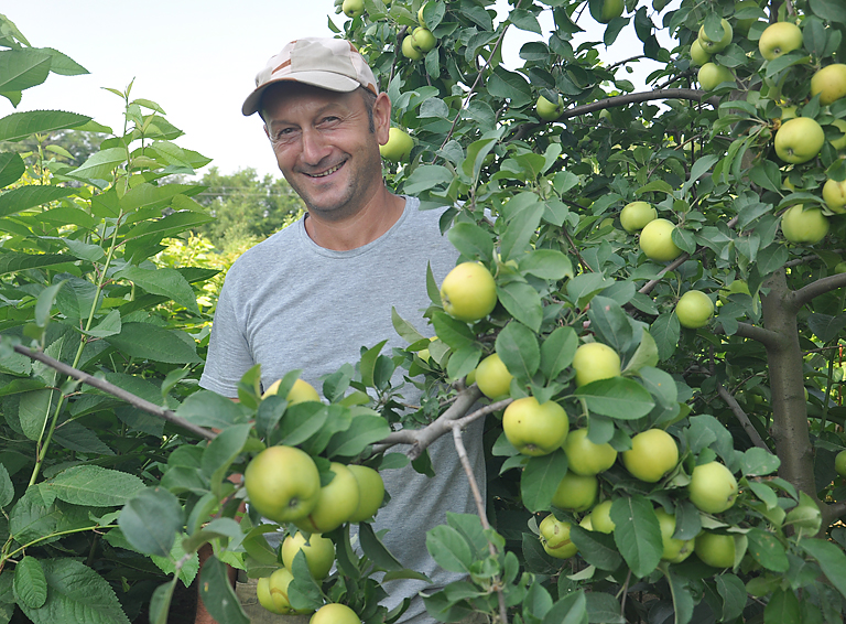 Яблонька благодарит садовода за уход и любовь ежегодным сказочным урожаем