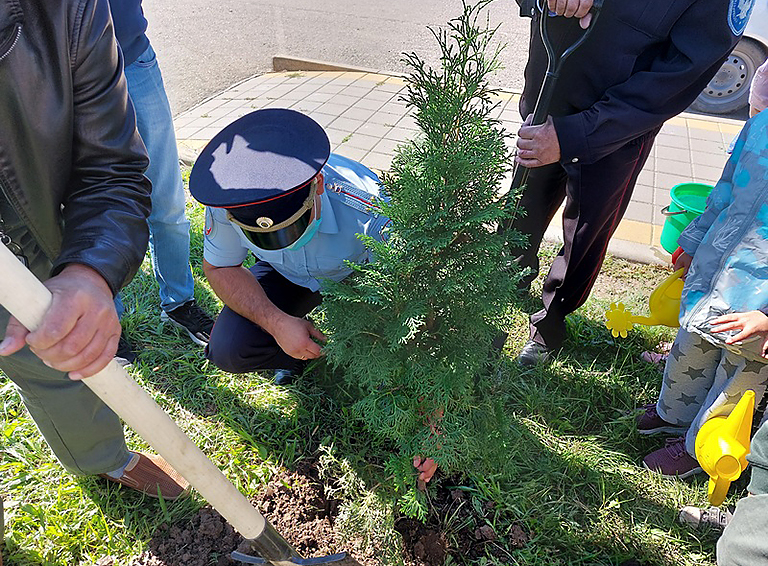 Зеленая аллея в сказочном лесу – подарок детскому саду от белореченских полицейских