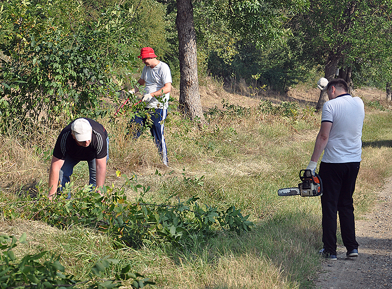 Сотрудники администрации Белореченского района очистили от дикой поросли обочины въезда в город