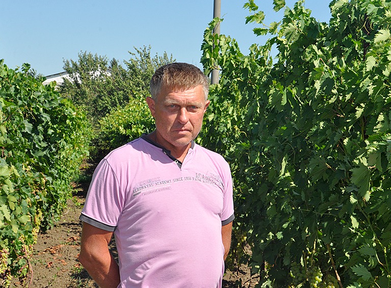 Коллекционер… винограда из села Новоалексеевского