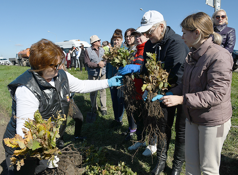 Экологическая акция по высадке деревьев состоялась в Белореченске накануне 79-й годовщины освобождения Кавказа