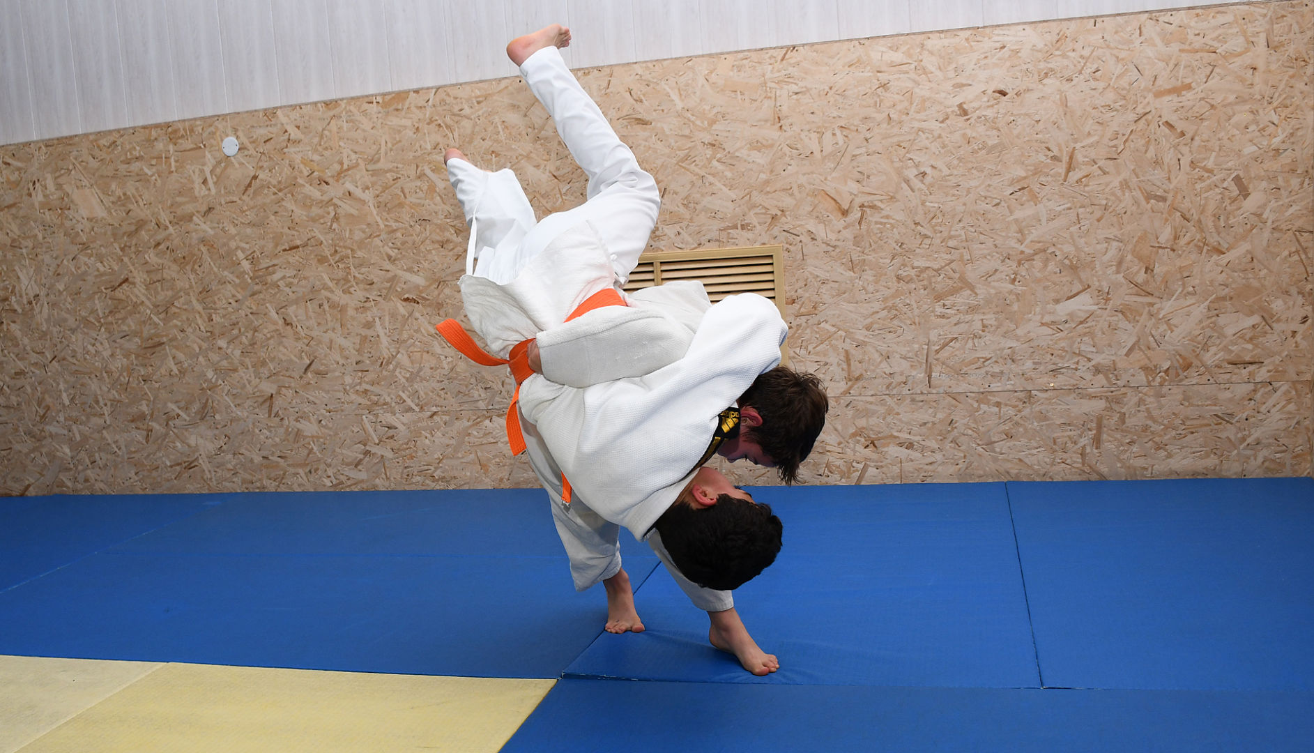 Сегодня в белореченской «Юности» проходят соревнования, посвящённые Всемирному дню дзюдо