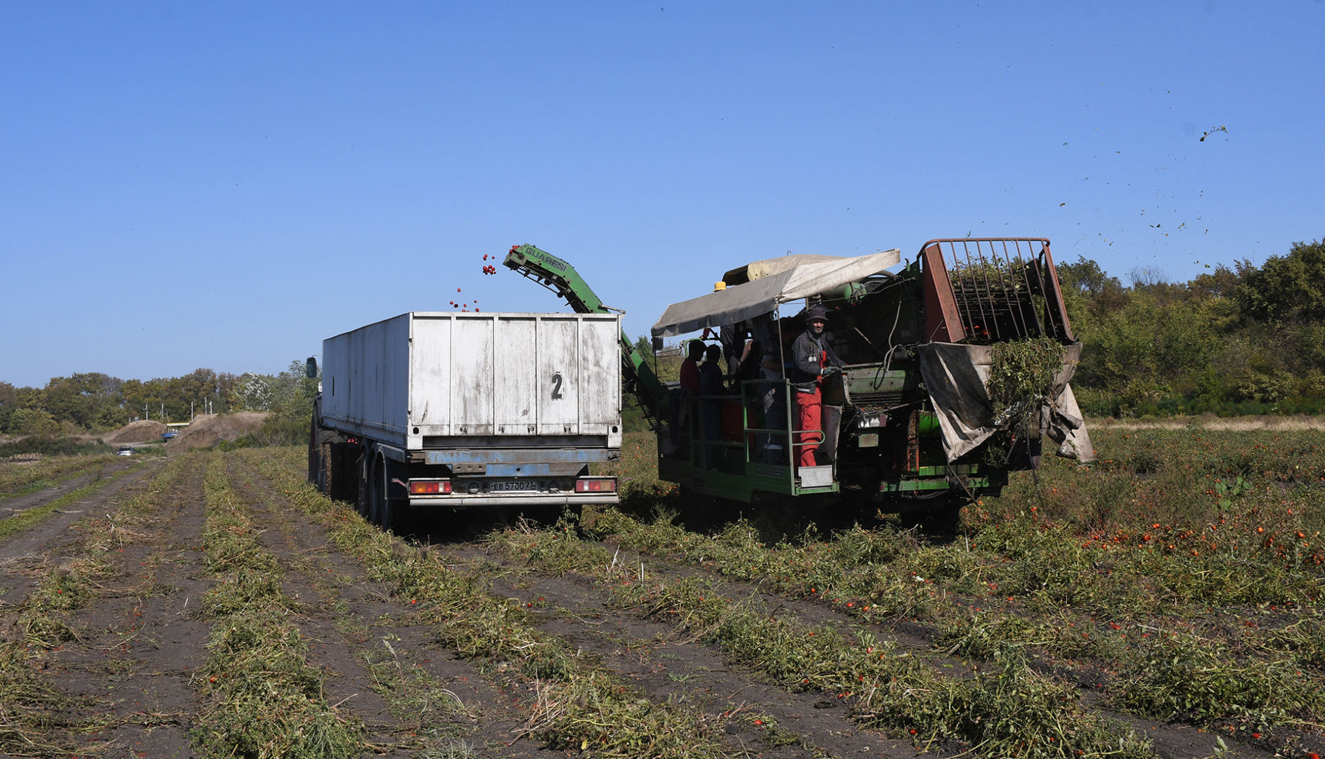 Белореченское ООО «Кубань Продукт» завершило нынешний сезон рекордным  урожаем – 21.10.2023 | Сельское хозяйство – новости Белореченска