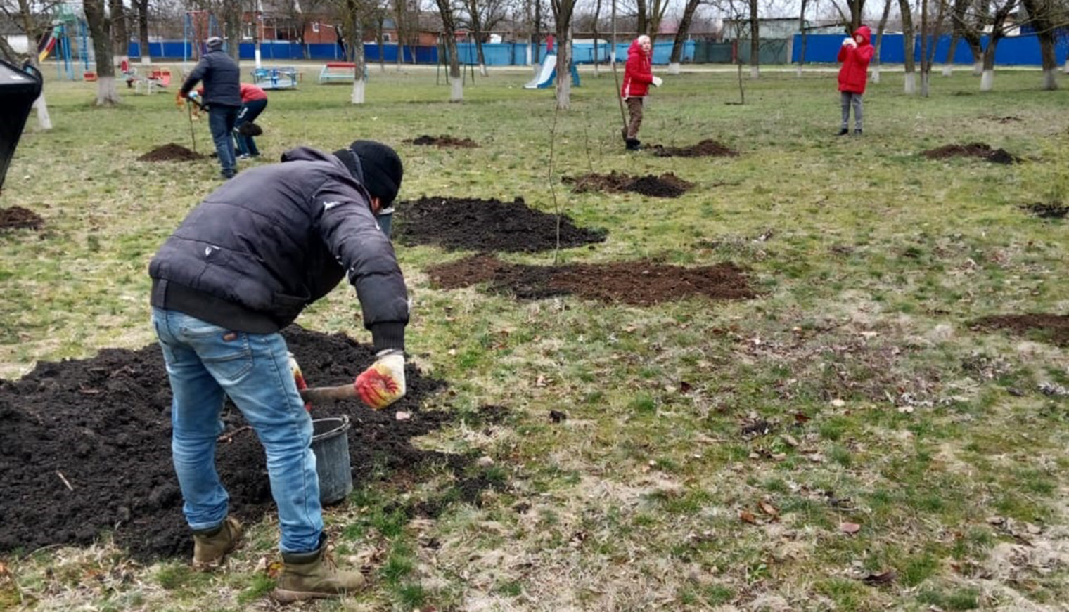 В парке села Архиповского Школьненского поселения высадили Лес Победы