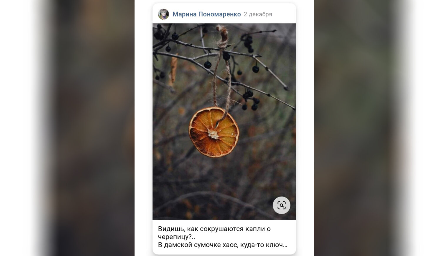 Садовод-любитель из Великовечного считает, что осенний сад – нескучный сад