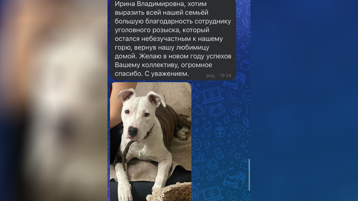 В Белореченске полицейские вернули семье похищенную собаку