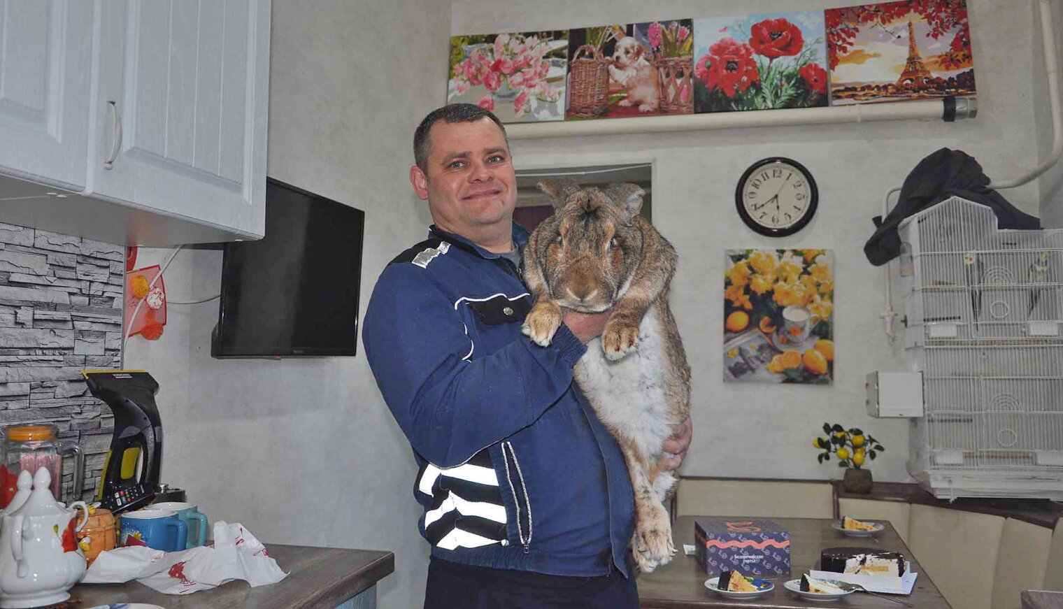 Для семьи Ефименко Белореченский район – не просто точка на карте, а место силы