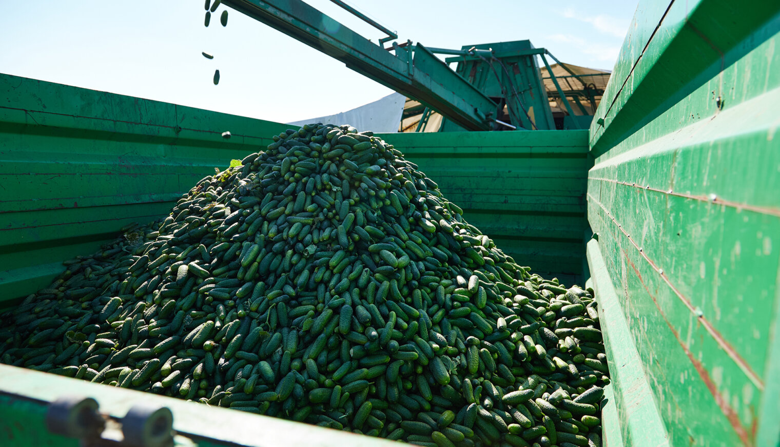 Ключевые факторы успеха «Кубань Продукта»